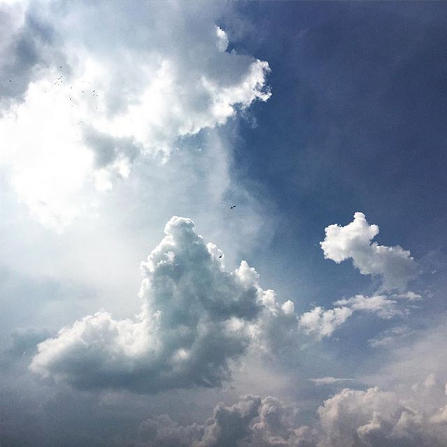 Clouds ’n‘ Birds