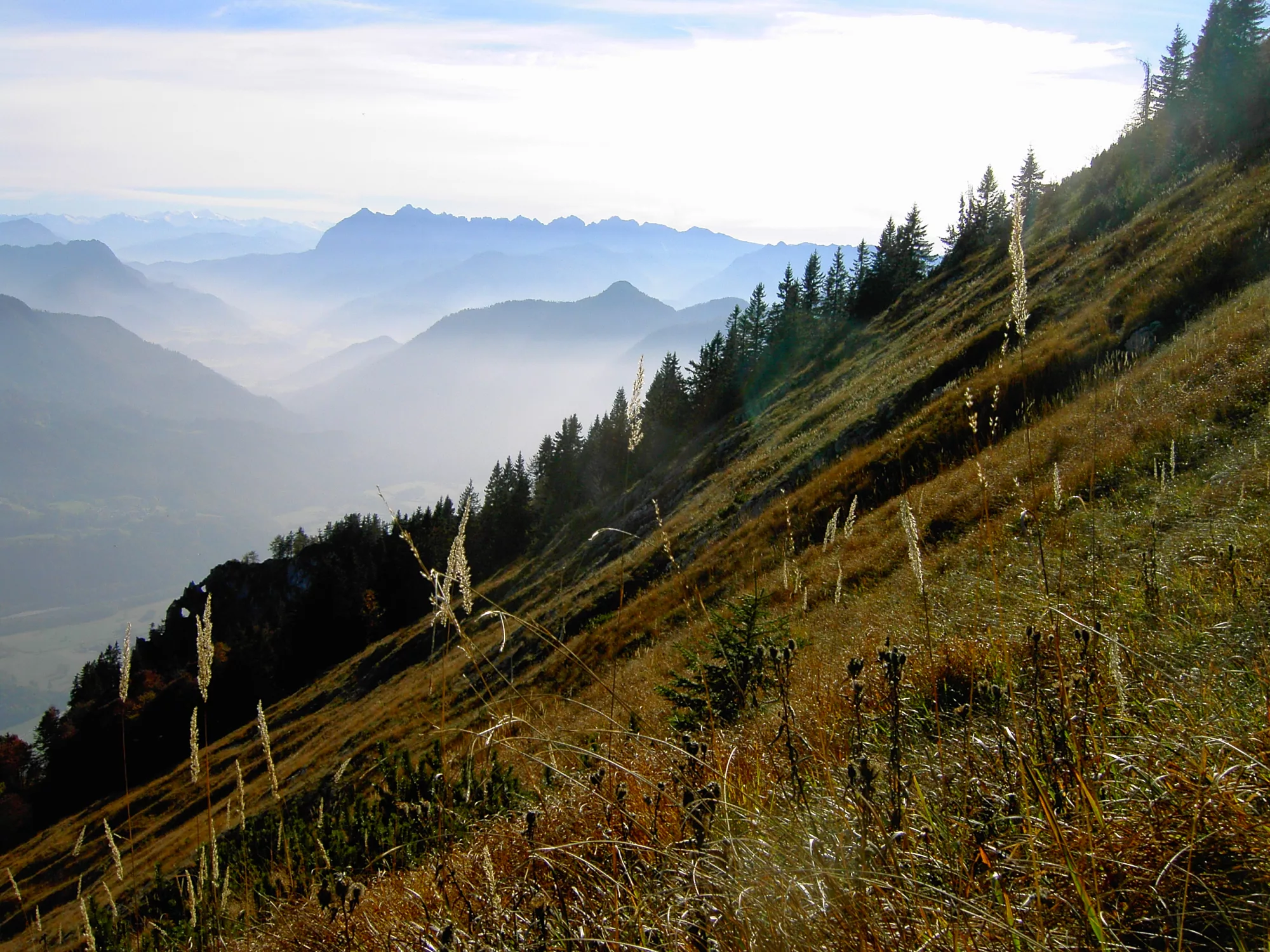 Hike Eng 2003